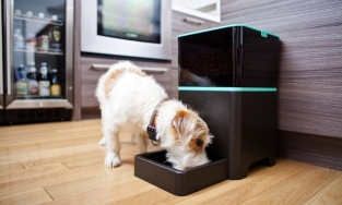 12 thiết bị thông minh giúp cuộc sống của bạn nhàn nhã và chất lượng hơn