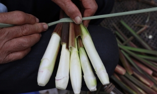 Cách chọn củ niễng ngon và sơ chế đúng cách trước khi chế biến