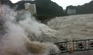 Bão số 12 mạnh lên, 10/11 có thể áp sát biển từ Bình Định đến Ninh Thuận