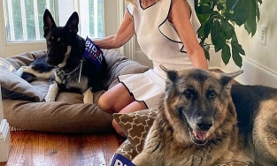 Chú chó được nhận nuôi từ trạm cứu hộ sẽ trở thành 'đệ nhất khuyển' của Mỹ