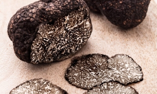 Nấm truffle có gì đặc biệt khiến giới siêu giàu mê mẩn, giá 1,4 tỷ cho 2kg 