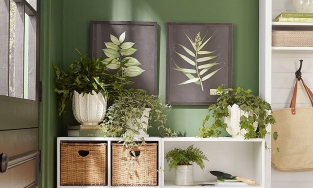 4 bước làm mới từng góc nhà để rước may mắn về nhà trong năm mới