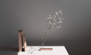 Giá đỡ 'No Vase', cách khoe trọn vẹn vẻ đẹp của hoa và tô điểm phòng khách