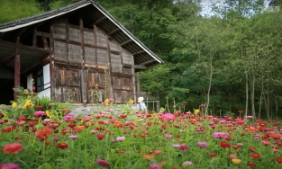 Cô gái bỏ phố về quê cải tạo nhà hoang thành ngôi nhà cổ tích, ngập sắc hoa