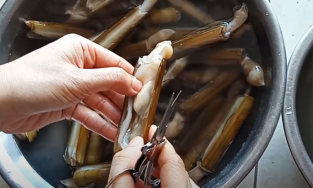 Bí quyết làm sạch cát của ốc móng tay để ăn không bị sạn