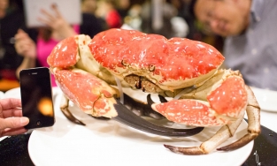 Cua Tasmania - loại cua giá ngang xe tay ga dành cho giới nhà giàu