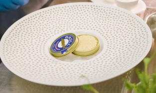 Trứng cá tầm bạch tạng: “Viên kim cương” trên bàn tiệc của hội nhà giàu