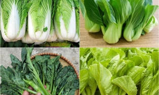 Cách phân biệt 11 loại rau cải Việt Nam phổ biến để tự tin ra mắt mẹ chồng
