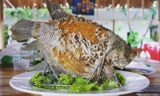 4 món cá đặc sản ngon nức tiếng của ẩm thực Việt Nam