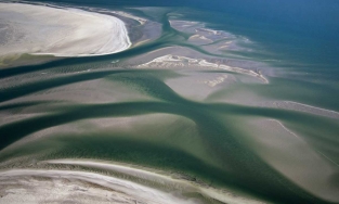 Biển Wadden, bãi biển 1 ngày biến mất 2 lần được Google Doodle tôn vinh?