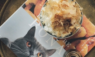 Neko manma - món “cơm mèo” đặc biệt trong ẩm thực Nhật Bản