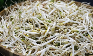 4 cách bảo quản giá đỗ để cả tuần vẫn tươi ngon, không bị thâm