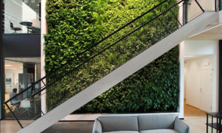 Những 'khu vườn thẳng đứng' tuyệt đẹp cho tường nhà thêm xanh và sống động