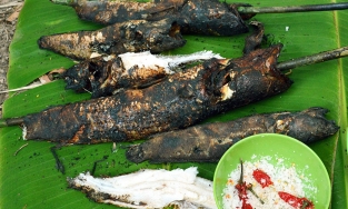 Cá lóc nướng trui - đặc sản dân dã và bình dị của người miền Tây