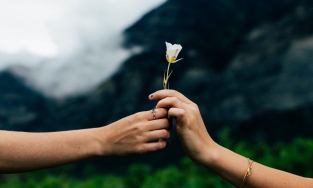 Thương một người là như thế nào? Sự khác biệt giữa thích, thương và yêu