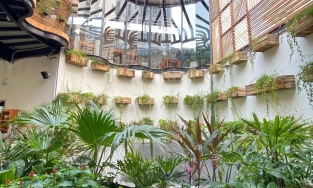 3 quán cafe nhiều cây xanh, rộng rãi, nhiều góc chill ở Nha Trang