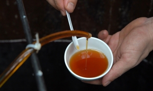 Cách làm nước mắm tại gia ngon chuẩn vị Phú Quốc mà không lo hóa chất