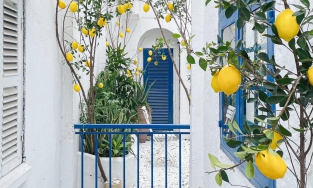 2 quán cafe phong cách Địa Trung Hải xinh, đi cafe là có cả tá ảnh mang về ở Sài Gòn