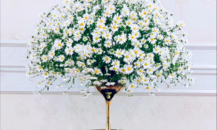 Mẹ Việt hướng dẫn cách cắm hoa cúc họa mi 10 ngày vẫn tươi đẹp mà không cần dùng xốp