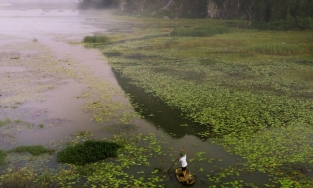 Đầm Vân Long, điểm đến hoang sơ đẹp tựa bức tranh hữu tình ở Ninh Bình
