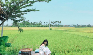 3 quán cà phê Hội An có view đồng lúa thơ mộng làm mới chuyến du lịch Hội An quen thuộc