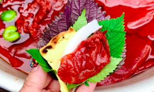 Sứa đỏ, món sashimi made in Việt Nam, tưởng không ngon mà ngon không tưởng