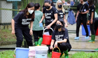 Hôm qua sao làm gì (26/5): Hà Tăng đi cứu hộ gấu, Mai Ngọc có xe mới xa xỉ