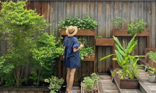 Những khu vườn vạn người mê của Sao Việt: Hà Tăng, Quyền Linh đều bội thu rau xanh, trái cây