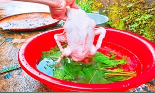 Cách làm sạch lông vịt trong 5 phút, cả lông măng cứng đầu cũng phải chào thua