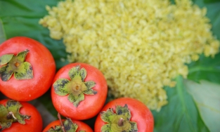 Những đặc sản mùa thu Hà Nội không thể bỏ qua khi gió heo may về