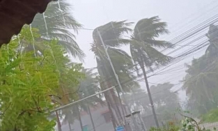 Bình Định tan hoang trước giờ bão số 9 đổ bộ