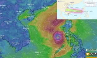'Thời tiết ngày mai' là từ khóa được tìm kiếm nhiều nhất năm 2020 tại VN