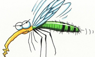 Phát hiện mới: Mặc màu đỏ dễ bị muỗi đốt hơn