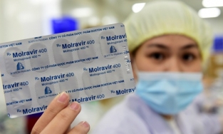 Giá bán thuốc Molnupiravir nội tại Việt Nam