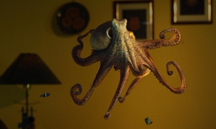 Bạn có biết: Bạch tuộc có 3 tim 9 não, cá bơn tự chuyển giới, rùa thở bằng mông