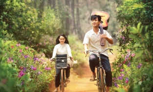 'Mắt Biếc' đại diện phim Việt chinh phục Oscar 2021