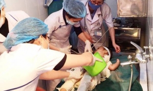 Bé trai 31 tháng tuổi nhiễm trùng nặng do dùng nước mắm và rượu chữa bỏng