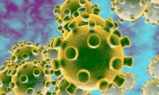 Covid-19: Nguyên nhân, triệu chứng và cách phòng bệnh hiệu quả