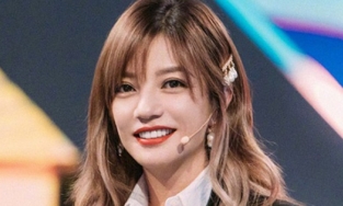 Triệu Vy mất vai trong 'The Good Wife' sau ồn ào lớn nhất trong sự nghiệp?