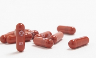 Anh cấp phép cho thuốc điều trị Covid-19 dạng viên đầu tiên