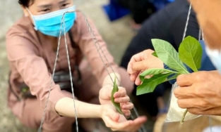 Có thể bạn chưa biết: Khu chợ nhận thanh toán bằng lá cây thay vì tiền mặt