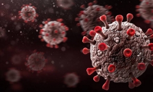 Người mắc Covid-19 có hết hoàn toàn SARS-CoV-2 trong cơ thể hay không?