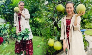 Mỹ Tâm đăng ảnh đi hái bưởi, fan rần rần 'sao giống người có bầu quá trời'