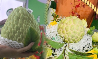 Ba quả na được bán với giá 159 triệu đồng ở Lạng Sơn