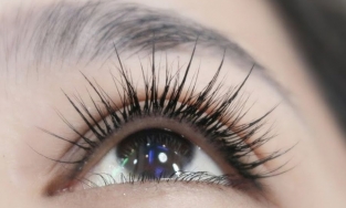 Gợi ý các kiểu nối mi phù hợp với mắt 