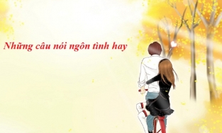 Tuyển tập những câu nói ngôn tình hay khiến cô gái mà bạn đang 'crush' cảm thấy hạnh phúc