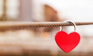 Tình cảm là gì? Đặc điểm và vai trò của tình cảm