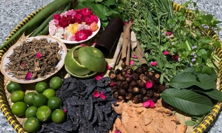 Top 5 cách nấu nước gội đầu chống rụng tóc từ thảo dược bạn nên thử 