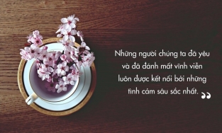 Những câu nói hay về sự ra đi nhằm xoa dịu tâm hồn