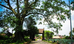 Đường Lâm, điểm du lịch đi về trong ngày ưa thích của người Hà Nội